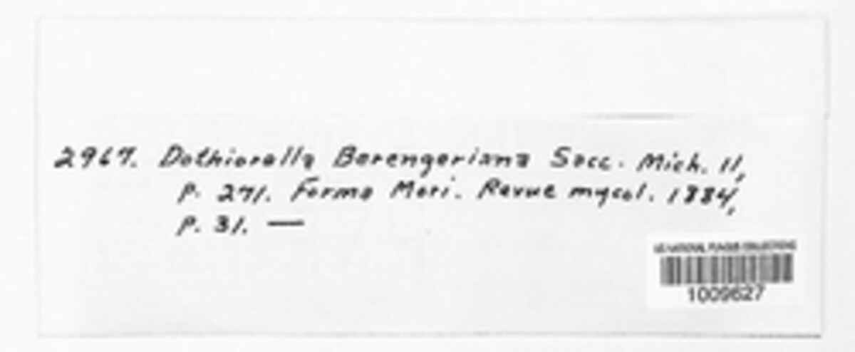 Dothiorella berengeriana image
